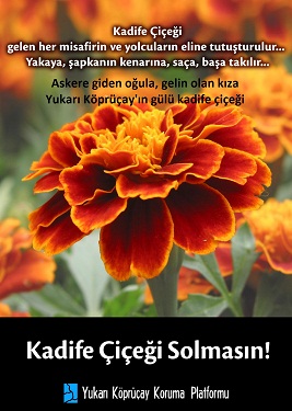 kadife-cicegi-poster_copy.jpg