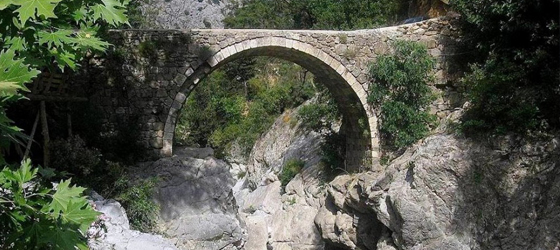 karani_ensari.jpg