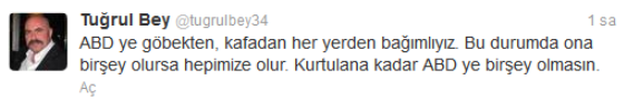 tigrul2.png