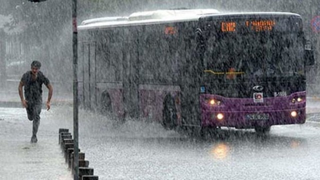 yagis ile ilgili görsel sonucu