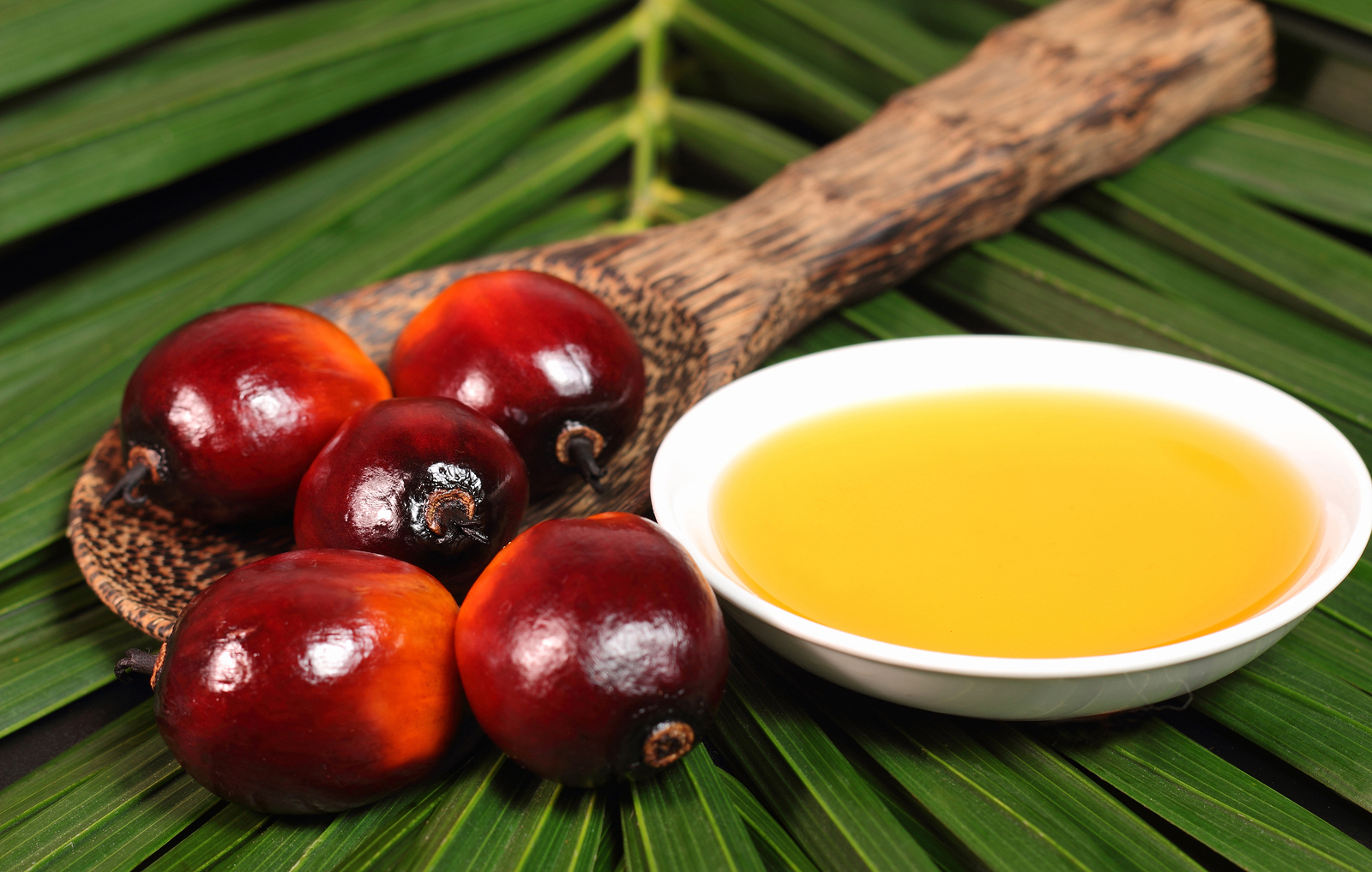 Palm yağında kararını değiştirmiyor Palm yağında kararını değiştirmiyor
