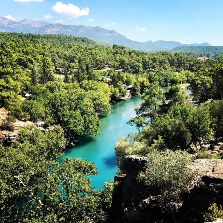 Orman Yagmasinda Sira Milli Parklara Geldi Sol Haber