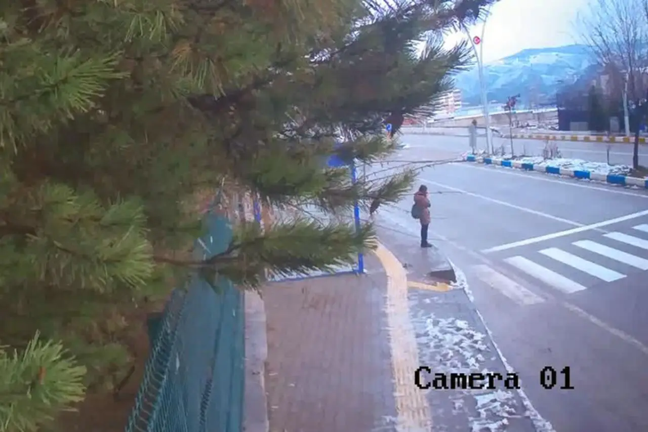 Gülistan Doku soruşturması: Valinin oğlu 'tanımıyorum' dedi, yeraltı taraması gizli tanığı doğruladı