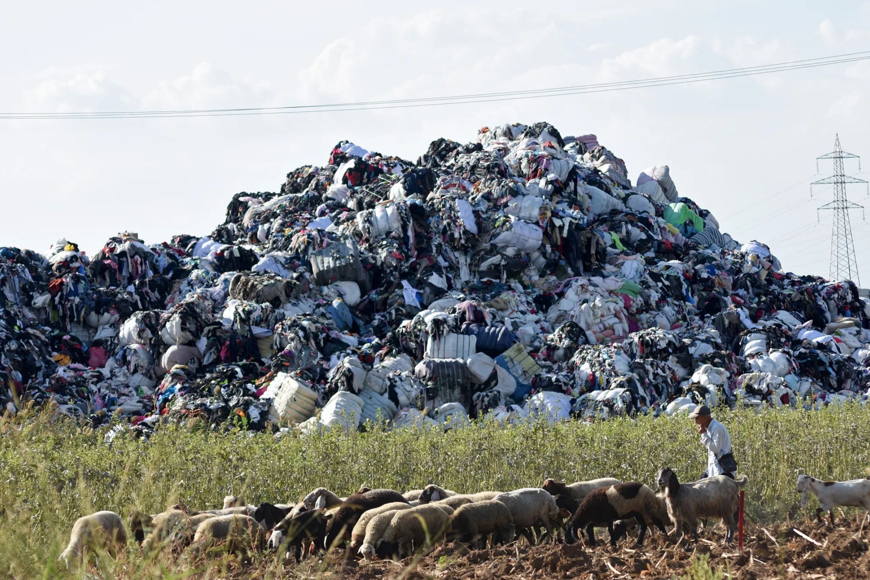 AB ve İngiltere'den Türkiye'ye Plastik Atık Akışı
