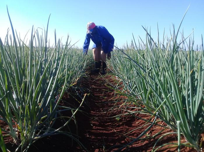 Abluka günlükleri 38 | 10 nisan 2026 cuma 2026 abluka gida iustitia. Bg küba gerçeği kapsamında yayına başlayan abluka günlükleri ile abd tarafından küba’ya uygulanan ve... Iustitia. Bg abluka günlükleri 38 | 10 nisan 2026 cuma 2026 2026-04-11 14:38:23 adalet - iustitia. Bg