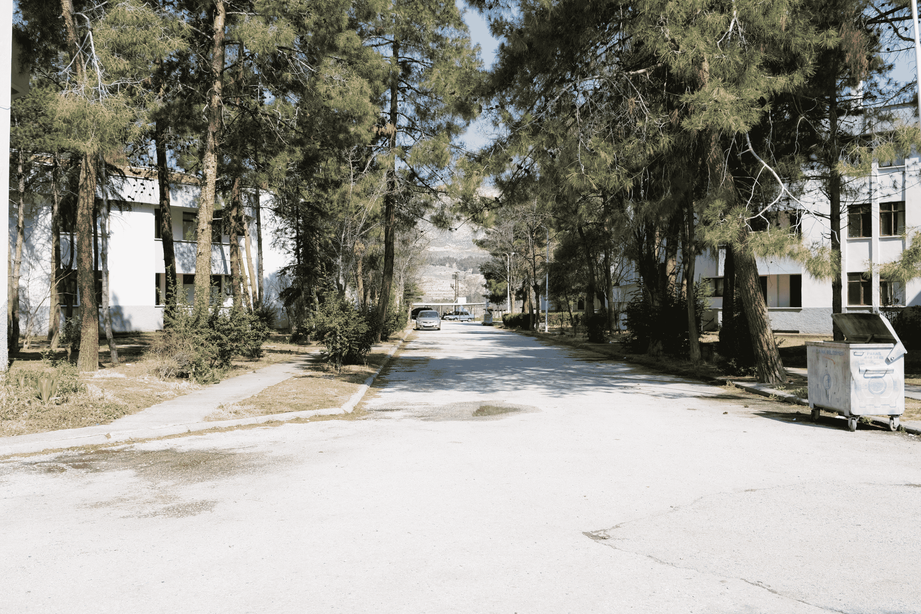 Tenis kortlu ve havuzlu madenci lojmanları nasıl patronlara peşkeş çekildi: Çayırhan'ın öteki yüzü