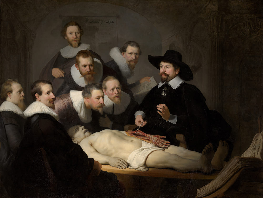 Rembrandt'ın barok dönem grup portreciliğinin şaheserlerinden olan "Dr. Nicolaes Tulp'un Anatomi Dersi" tablosunda; kadavranın kol kaslarını inceleyen cerrahların psikolojik durumları, pürdikkat kesilişleri ve figürler arasındaki hiyerarşik bağlar
