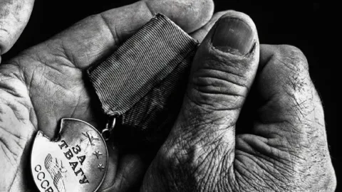 2. Dünya Savaşı'nda faşizme karşı savaşan Kürtler ve ortak zaferin hafızası