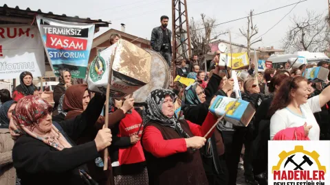Danıştay, Amasra'daki Termik Santral Projesinin Lisansını Kesin Olarak İptal Etti