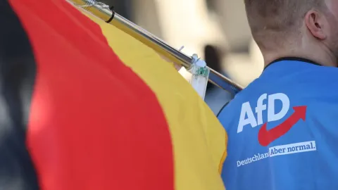 Almanya'da AfD’nin gücü nereden geliyor?