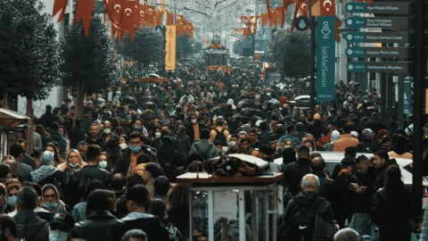 İşsizlik grafiği ve istihdam verileri