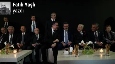 Devlet aklı, müesses nizam, kara düzen
