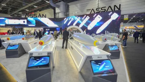 ASSAN Group'a ait şirketlerin satışı için ihale duyurusu.