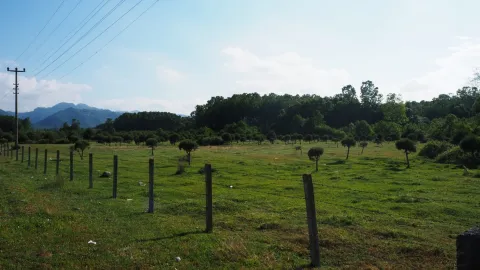 Samsun'un Terme ilçesi Sakarlı Mahallesi'nde mera ve tarım arazileri üzerinde kurulması planlanan Organize Sanayi Bölgesi projesine karşı tepki gösteren mahalle sakinleri.