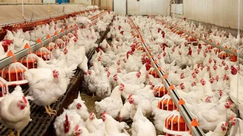 Beyaz et sektöründeki kayyım kararları durduruldu: 4 büyük şirket için ilk geri adım