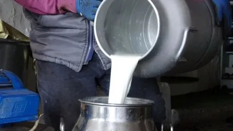 Rekabet Kurulu’nda süt dosyası: 70’i aşkın firma inceleniyor