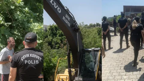 Hatay'da taziye evi projesi nedeniyle kesilen ağaçlar ve iş makineleri.