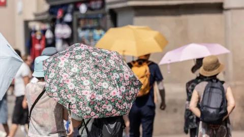 Avrupa'da sıcak hava dalgası nedeniyle rekor sıcaklıklar ölçülüyor, Dünya Sağlık Örgütü 1300'den fazla ölüm bildirdi.