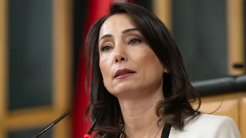 DEM Parti Eş Genel Başkanı Tülay Hatimoğulları konuşma yaparken