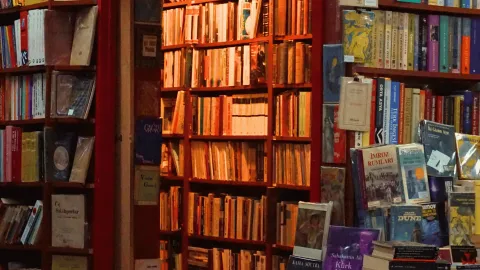Yapay zeka şirketlerinin veri toplamak için sahaflardan aldığı kitaplar.