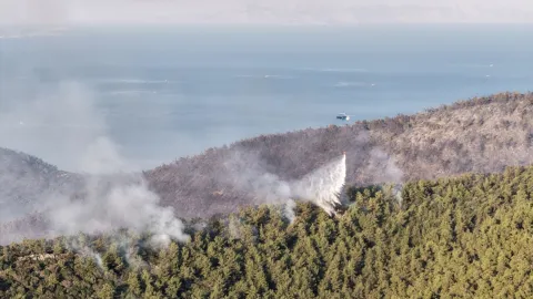 Muğla'nın Milas ilçesindeki orman yangınına helikopterle havadan müdahale ediliyor.