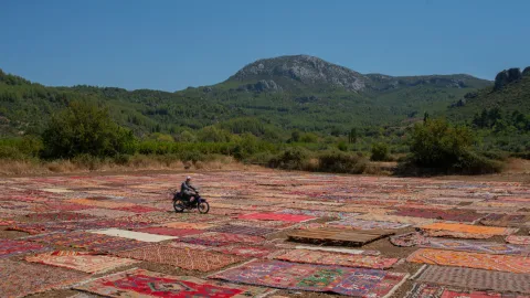 Antalya Döşemealtı'nda hasat sonrası tarlalara serilmiş el dokuması halılar