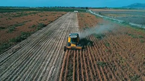 Tarlada çalışan çiftçi