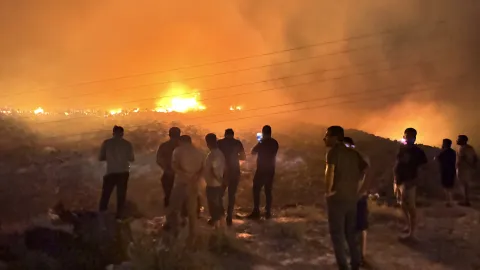 Aydın Çine'de Orman Yangını: Evler Zarar Gördü ve Tahliyeler Yapıldı