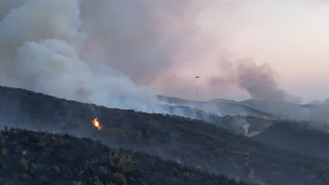 Manisa'daki Orman Yangını Kontrol Altına Alındı
