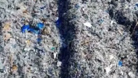 Türkiye Kaynaklı Plastik Atıklar Kuzey Kıbrıs Balalan Sahiline Ulaştı