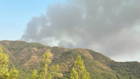 Ege’de yangın alarmı: Balıkesir, Manisa ve Muğla’da peş peşe orman yangınları