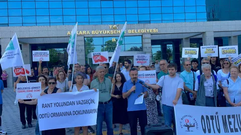 ODTÜ Ormanı'ndaki Yol Projesine Tepkiler Artıyor: Rant Alanı İddiaları Gündemde
