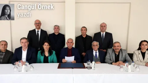 Entelektüeller neden siyasi göreve çağrıldı?