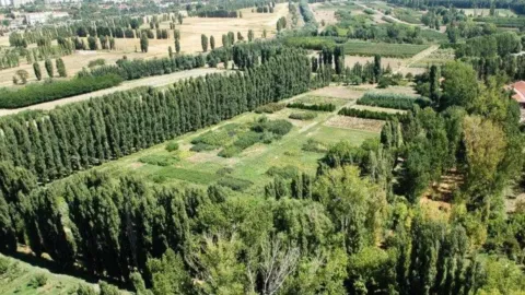 Atatürk Orman Çiftliği'ne ilişkin kararlar ve siyasi-ekonomik etkileri