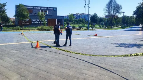 Adana ve Diyarbakır'da iki kadın eski eşleri tarafından katledildi