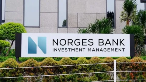 Norveç Varlık Fonu'nun soruşturmaya takılan Türk şirketlerinde 208 milyon dolarlık hissesi ortaya çıktı