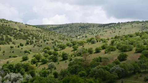 TOKİ'nin arazi satışları tarım topraklarını etkiliyor