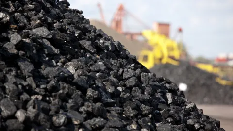 TKİ'nin üretimi 3 yılda dörtte bir eridi: 'Yerli ve milli enerji' söylemi rakamlara yansımadı