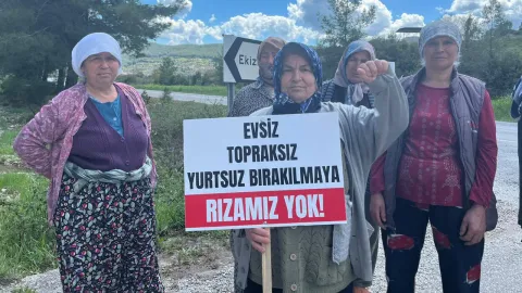 Danıştay, Akbelen'deki acele kamulaştırma kararını hukuka uygun buldu