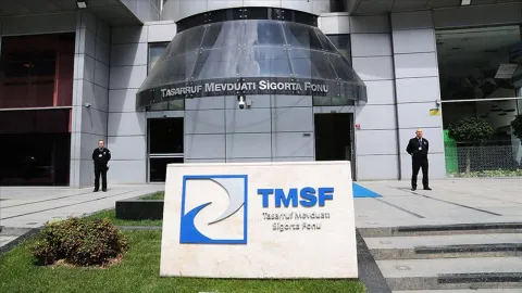 TERA Yatırım Teknoloji Holding'e kayyum atandı