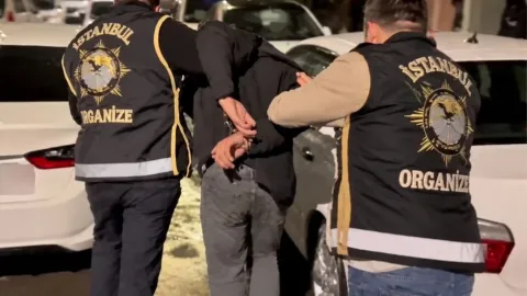 Dalton suç örgütüne 30 ilde operasyon: 80 şüpheli gözaltına alındı