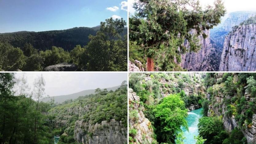 orman yagmasinda sira milli parklara geldi sol haber