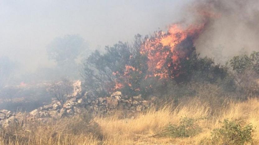 gaziantep te orman yangini sol haber