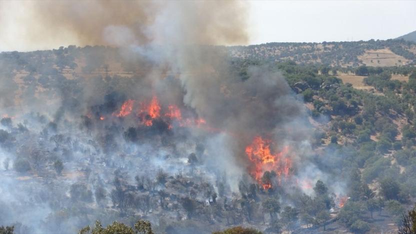 Çanakkale'de dün çıkan orman yangını sürüyor, Ayvacık'ta da yangın çıktı | soL haber