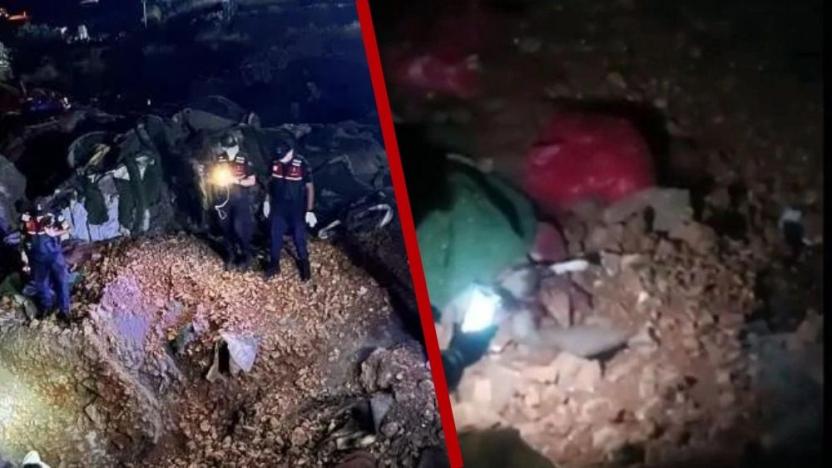 Bir katliam haberi de Ankara'dan: Onlarca köpek öldürüldü | soL haber