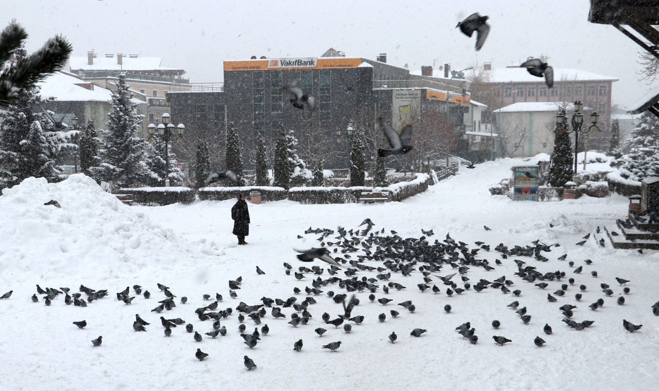 Erzurum
