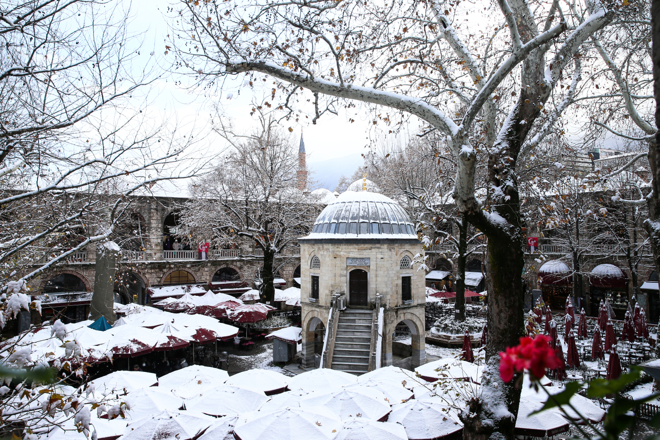 Bursa