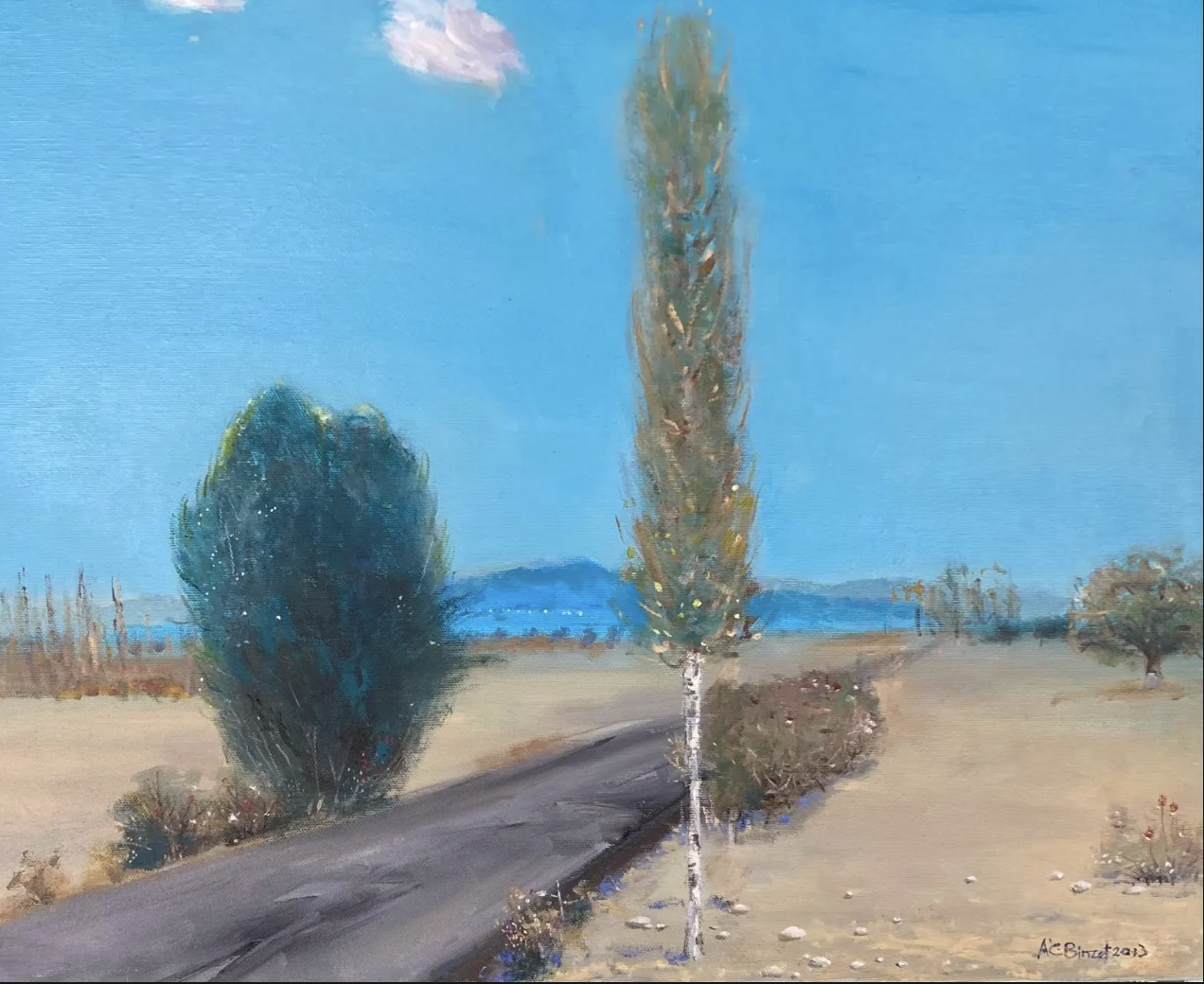 A.Celal Binzet