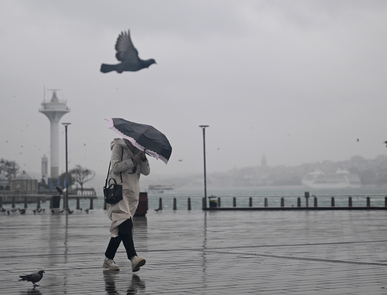 Fotoğraf: Abdülhamid Haşbaş