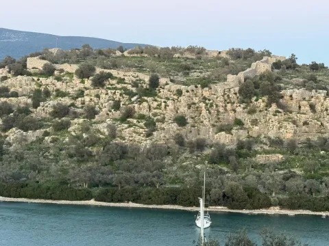iasos